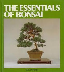 The Essentials Of Bonsai