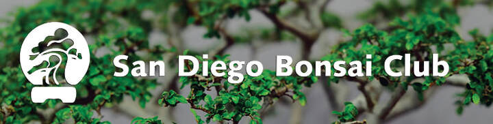 San Diego Bonsai Club